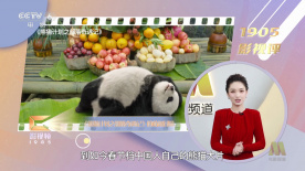 久久精品国产精品青草